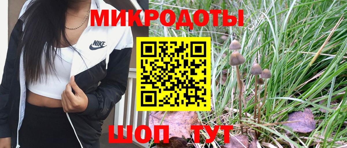 Галлюциногенные грибы Cubensis Большой Камень