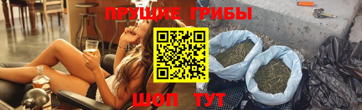 Псилоцибиновые грибы Psilocybe  Галлюциногенные грибы Psilocybine cubensis  Вход с VPN  Большой Камень 
